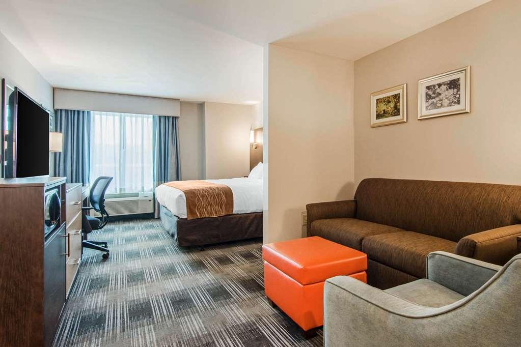 Comfort Inn & Suites East Ellijay Rum bild